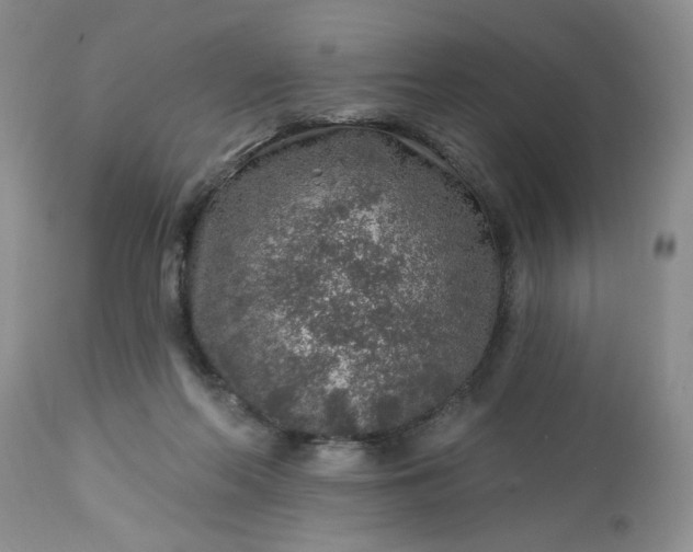 X0000113570214200910021637