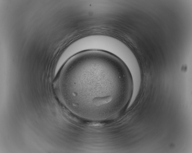 X0000113570217200910021637