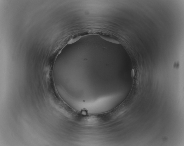 X0000113570219200910021637