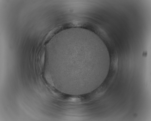 X0000113570220200910021637