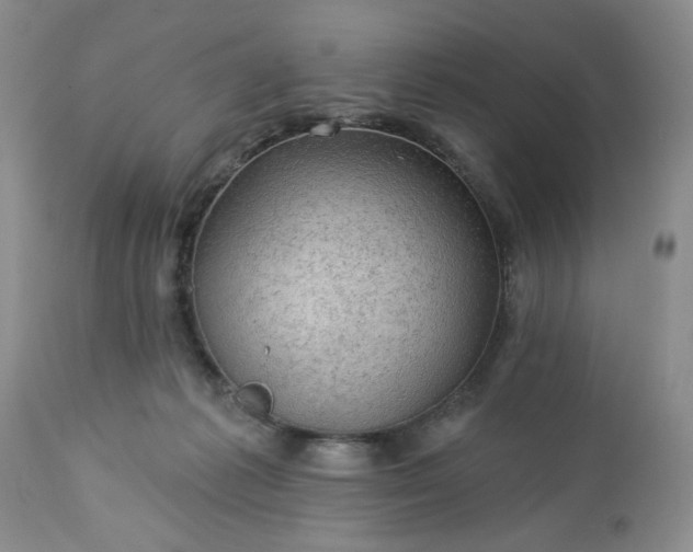 X0000113570221200910021637