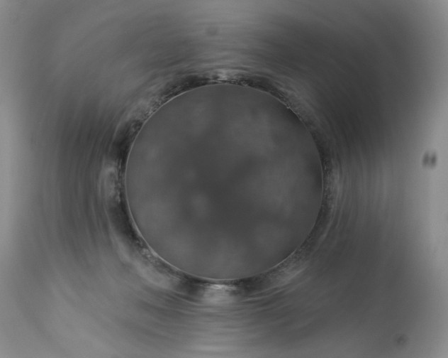 X0000113570222200910021637