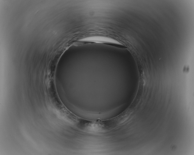 X0000113570223200910021637