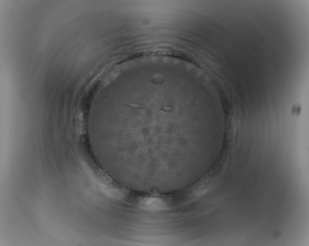 X0000113570224200910021637