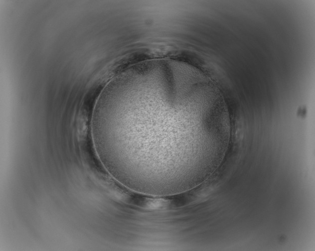 X0000113570226200910021637