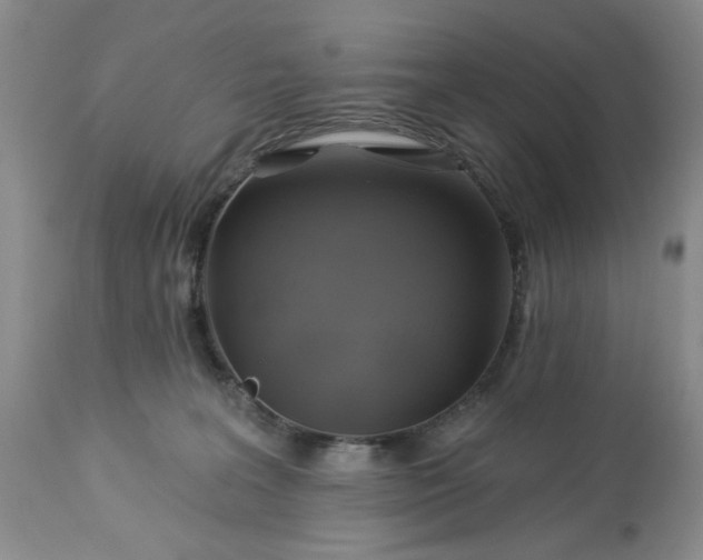 X0000113570227200910021637