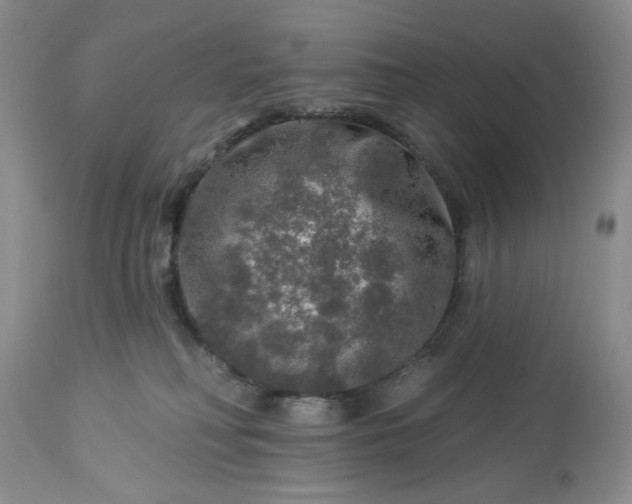 X0000113570230200910021637