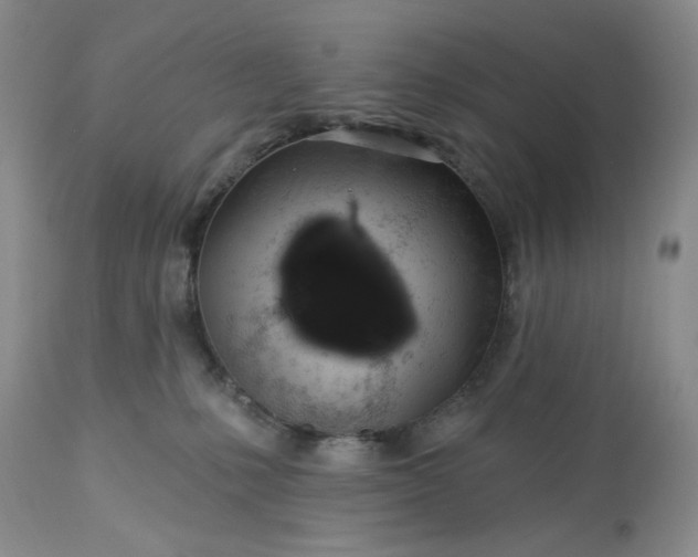 X0000113570231200910021637