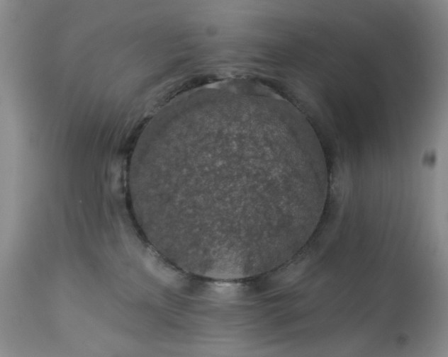 X0000113570233200910021637