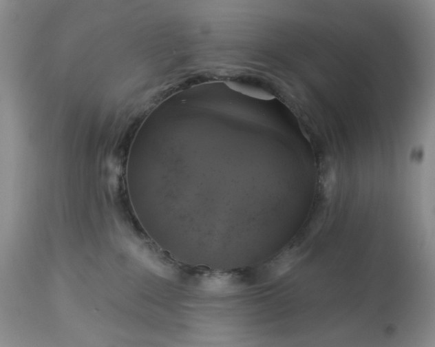 X0000113570235200910021637