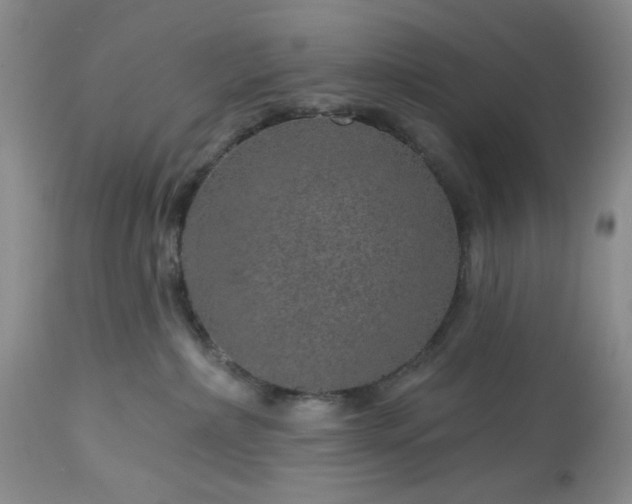 X0000113570236200910021637