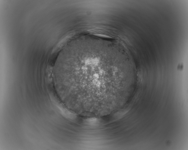 X0000113570237200910021637