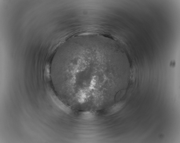 X0000113570238200910021637