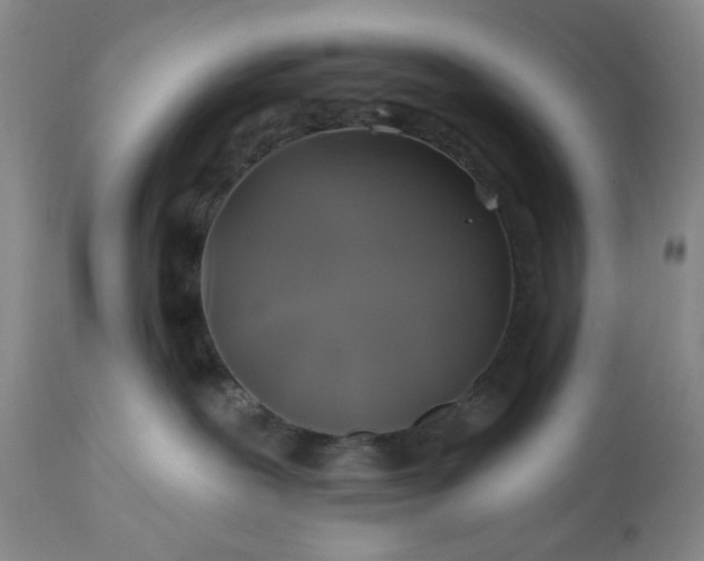 X0000113570239200910021637