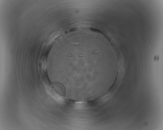 X0000113570240200910021637