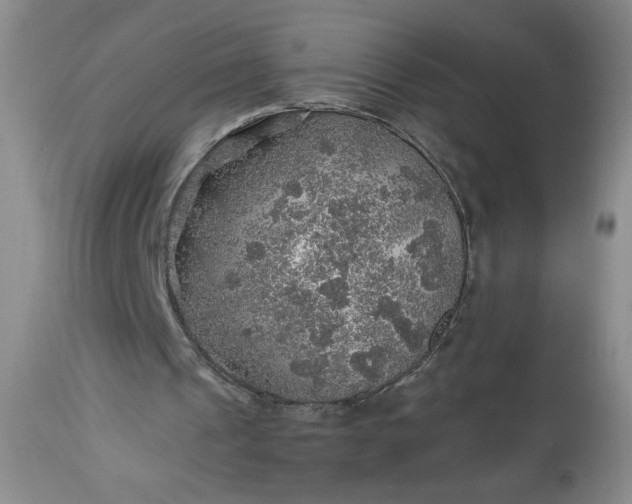 X0000113570241200910021636