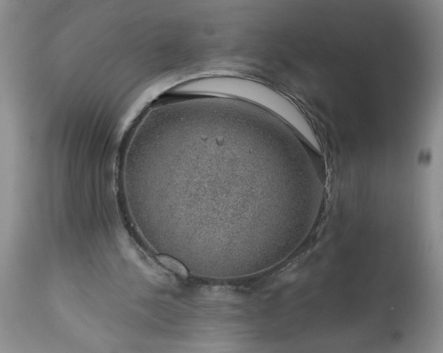 X0000113570244200910021636