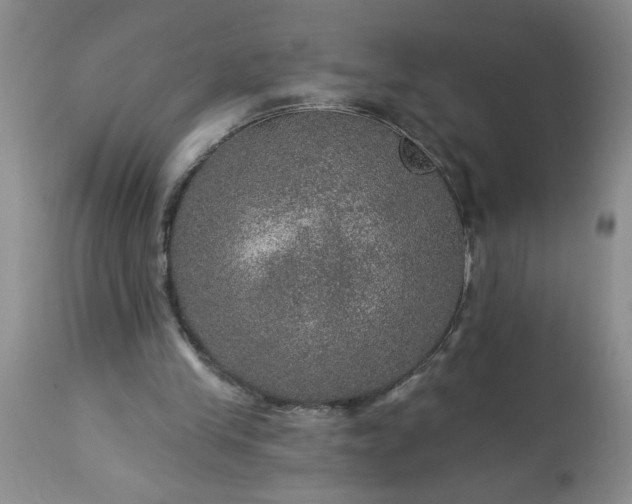 X0000113570245200910021636