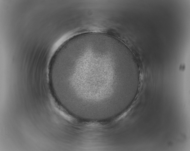 X0000113570246200910021636