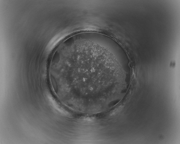 X0000113570247200910021636