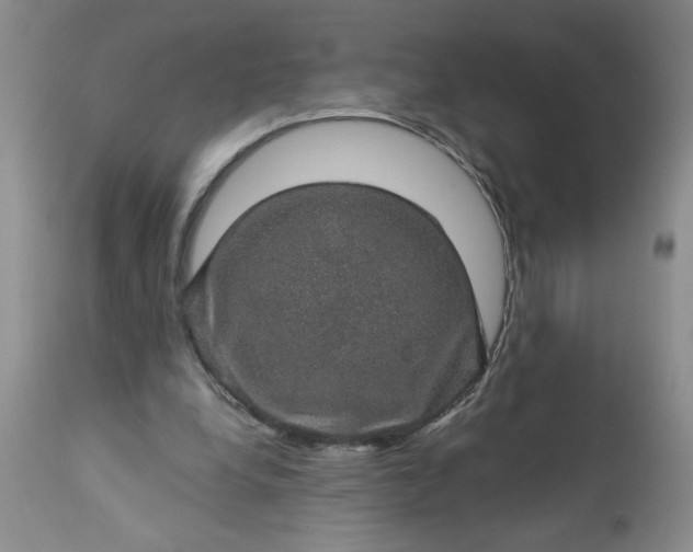 X0000113570248200910021636