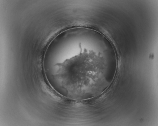 X0000113570249200910021636