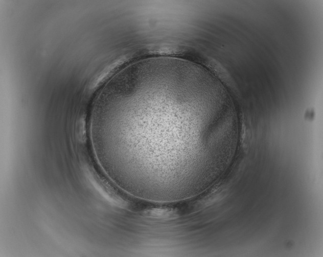 X0000113570251200910021636