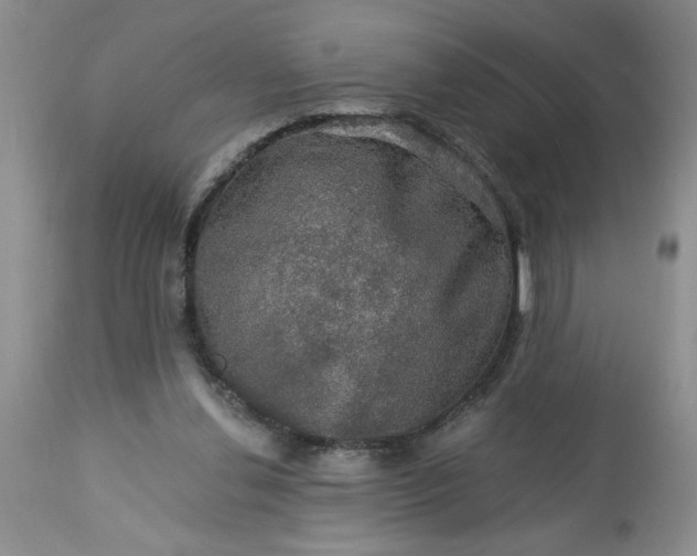 X0000113570252200910021636