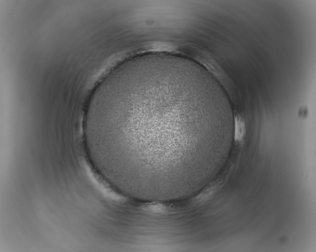 X0000113570253200910021636