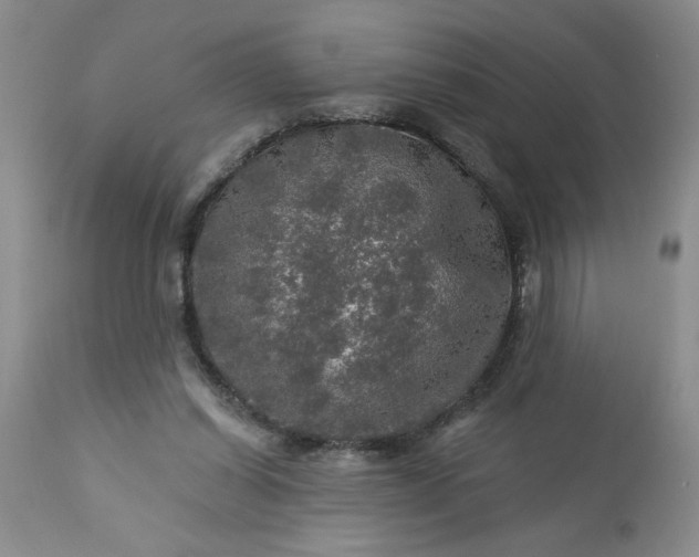 X0000113570254200910021636