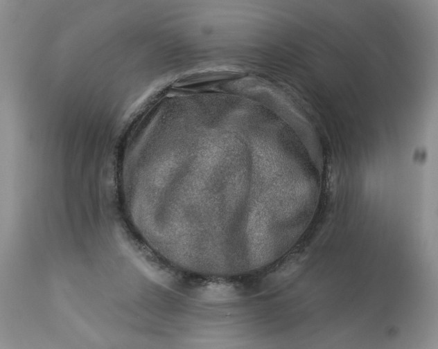 X0000113570256200910021636