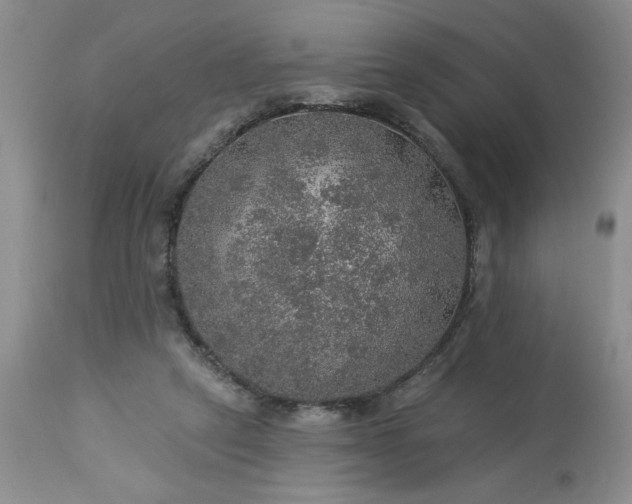 X0000113570257200910021636