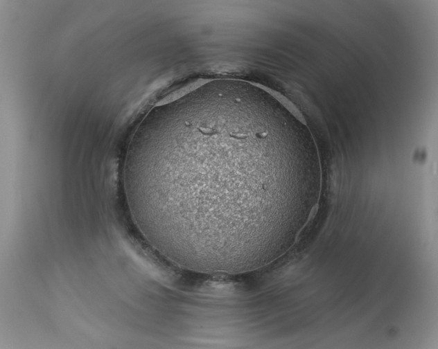 X0000113570260200910021636