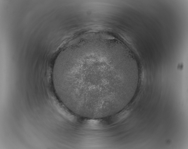 X0000113570265200910021636