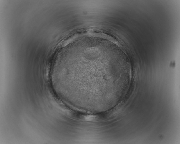 X0000113570268200910021636