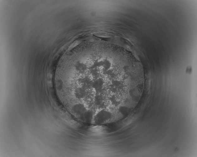 X0000113570269200910021636