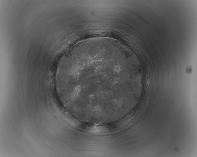 X0000113570270200910021636