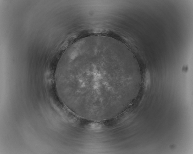 X0000113570272200910021636