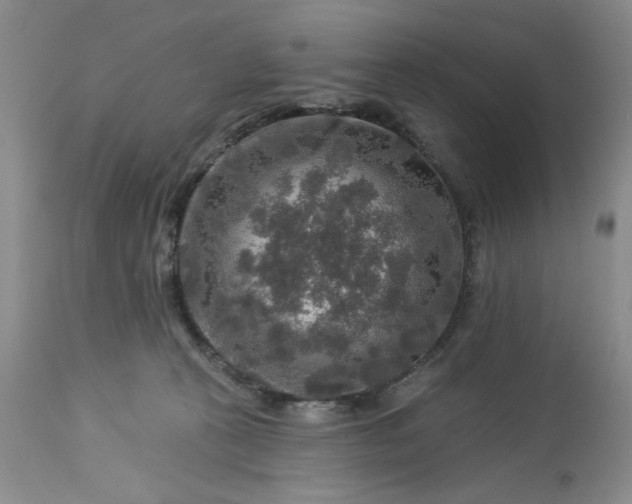 X0000113570273200910021636