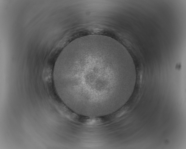 X0000113570274200910021636