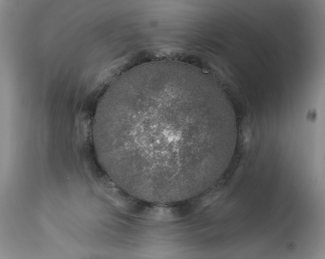 X0000113570276200910021636