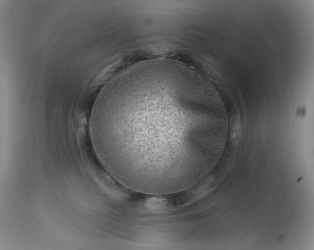 X0000113570279200910021636