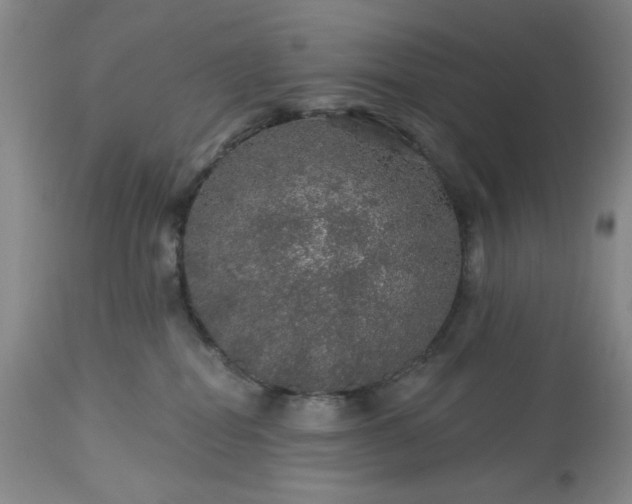 X0000113570282200910021636