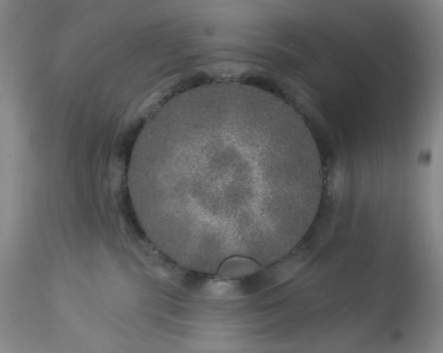 X0000113570283200910021636