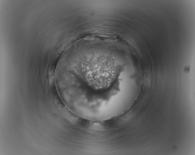 X0000113570285200910021636