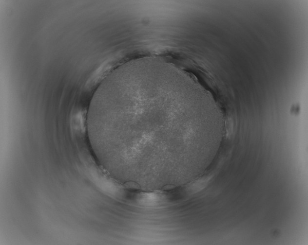 X0000113570286200910021636