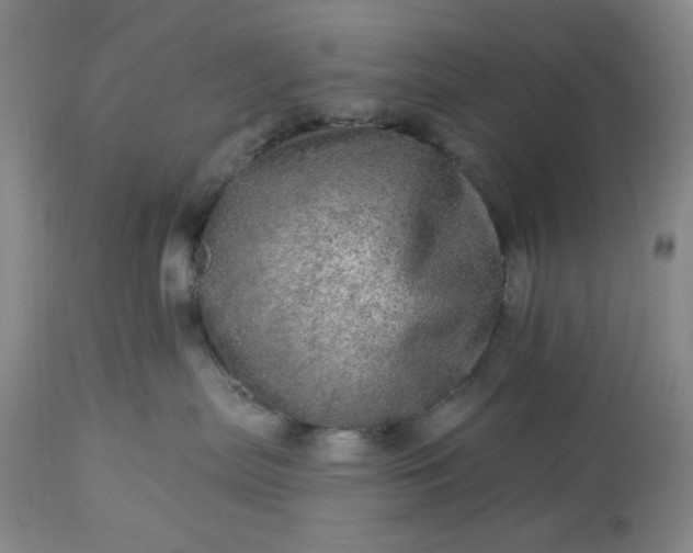 X0000113570287200910021636