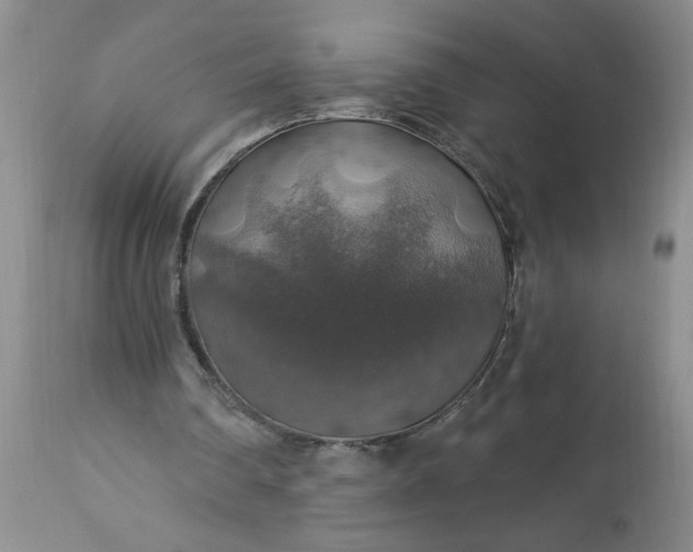 X0000113570290200910021636