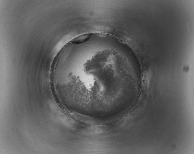 X0000113570292200910021636