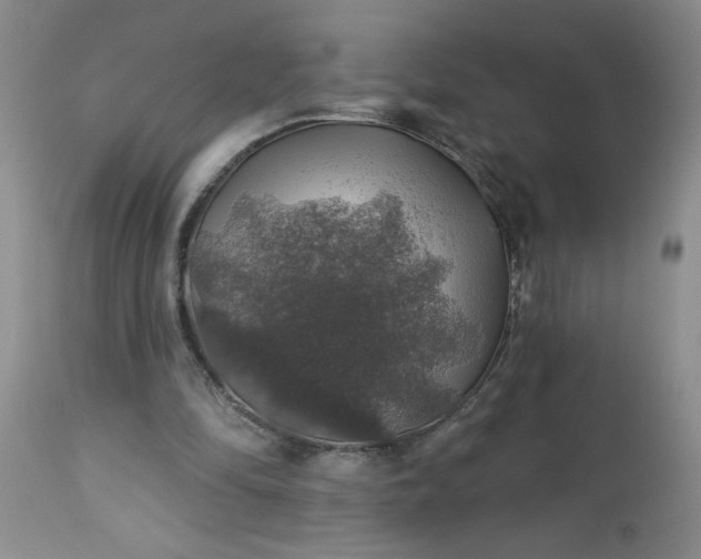 X0000113570294200910021636